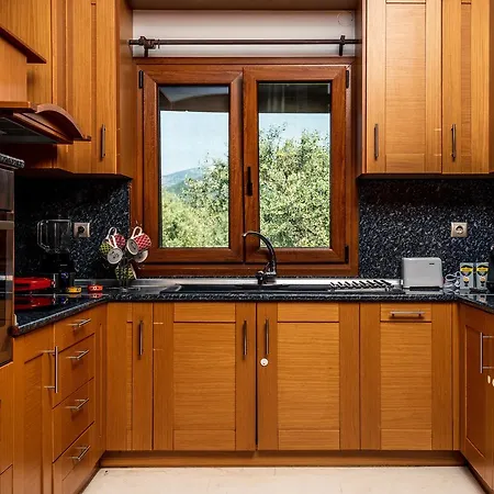 빌라 Fokas Luxury 프리노스