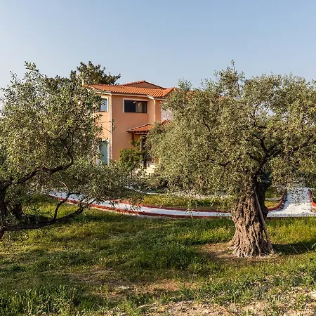 Fokas Luxury Prínos