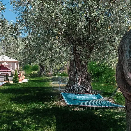 Fokas Luxury 빌라 *