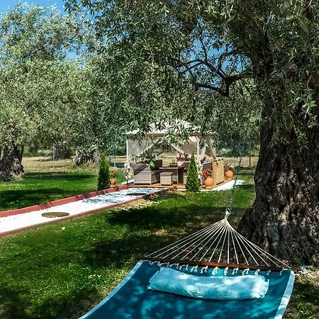 Fokas Luxury * 프리노스