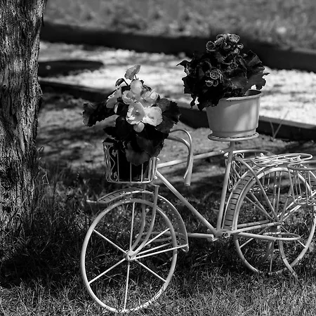 Fokas Luxury 빌라 프리노스