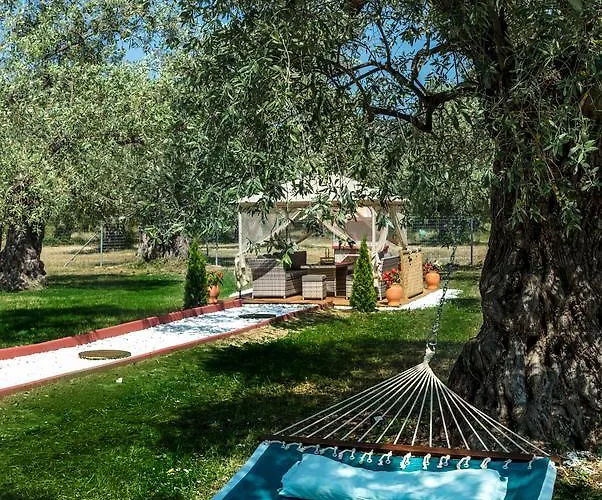 Fokas Luxury * Prínos