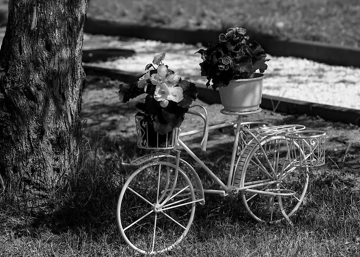 Fokas Luxury 别墅 Prínos